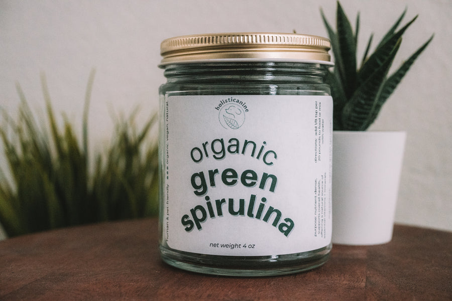 Organic Green Spirulina | Anti-Inflammatory and Antioxidant Supplement