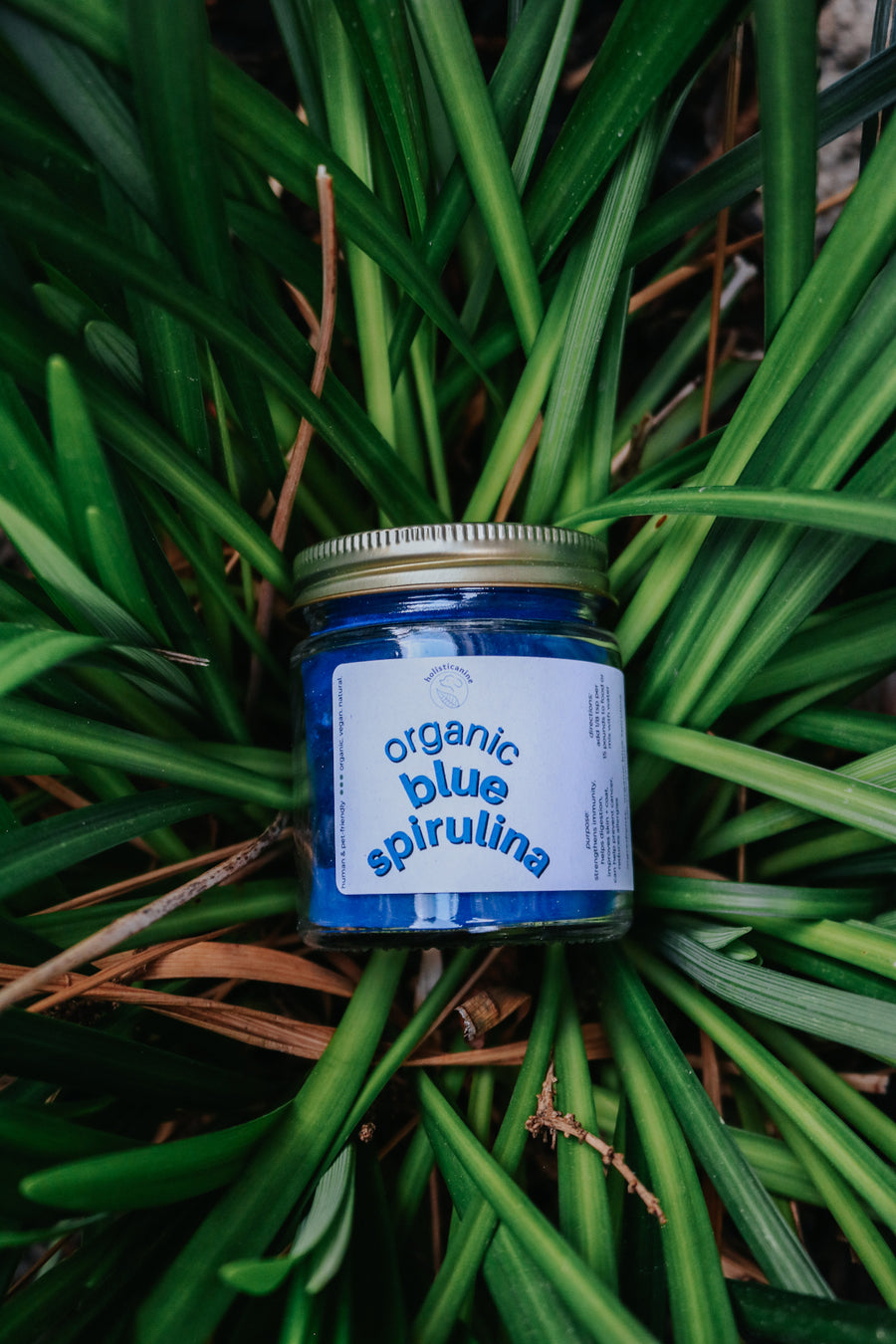 Organic Blue Spirulina | Allergy & Immune Support Supplement
