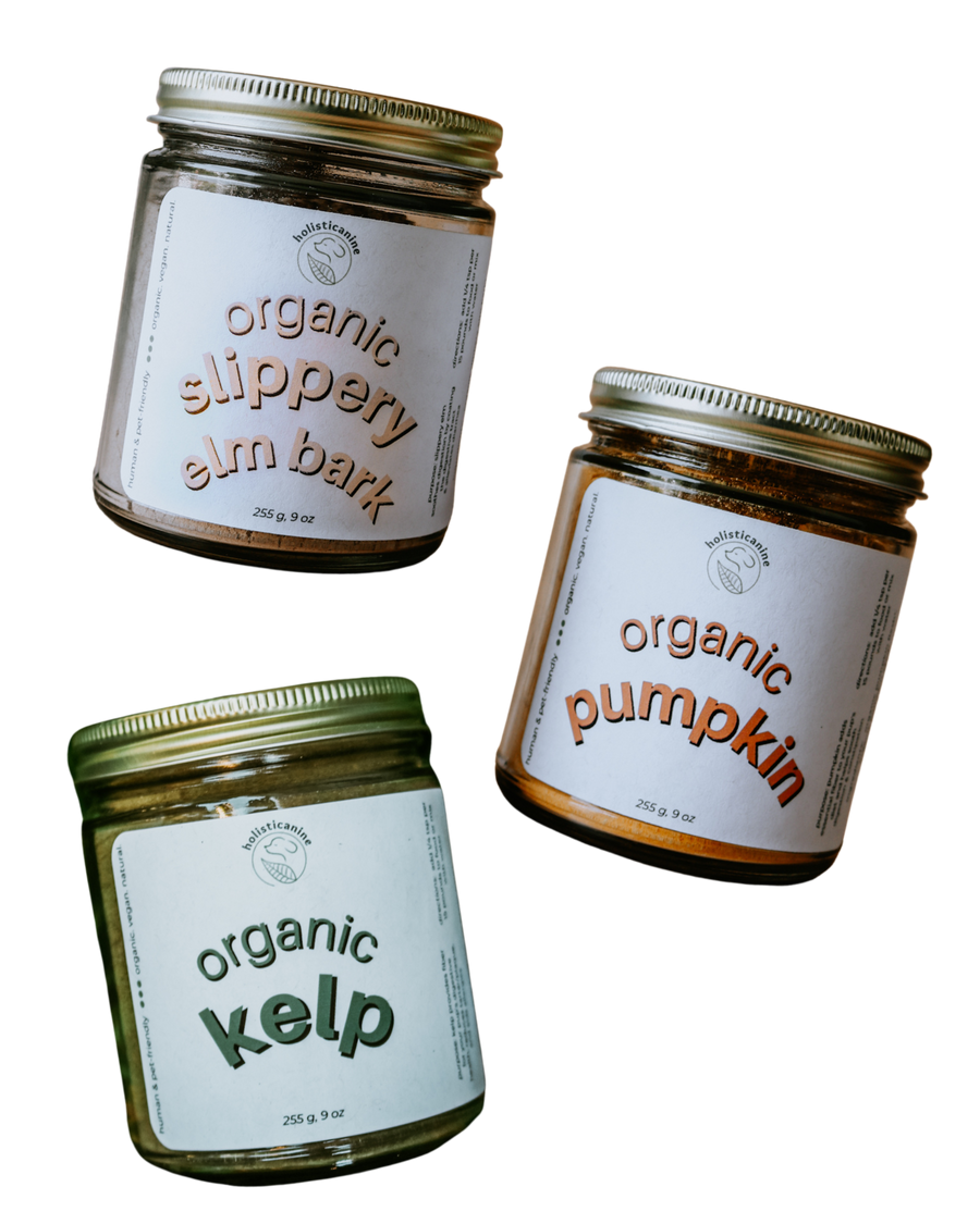 Organic Pumpkin  |  Digestive & Fiber Supplement