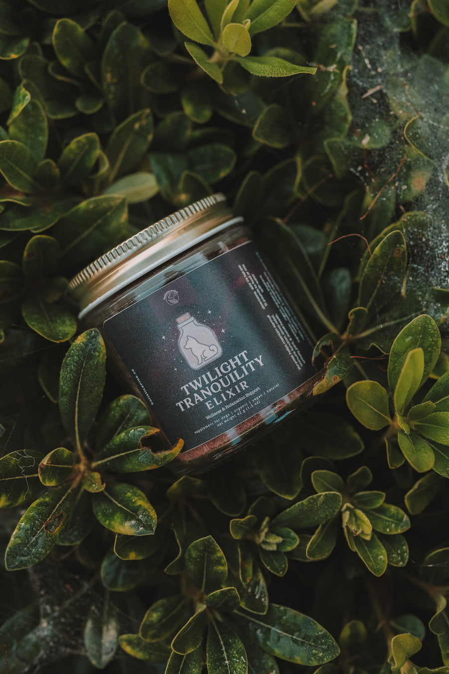 Organic Twilight Tranquility Elixir Supplement | Wellness & Relaxation Support