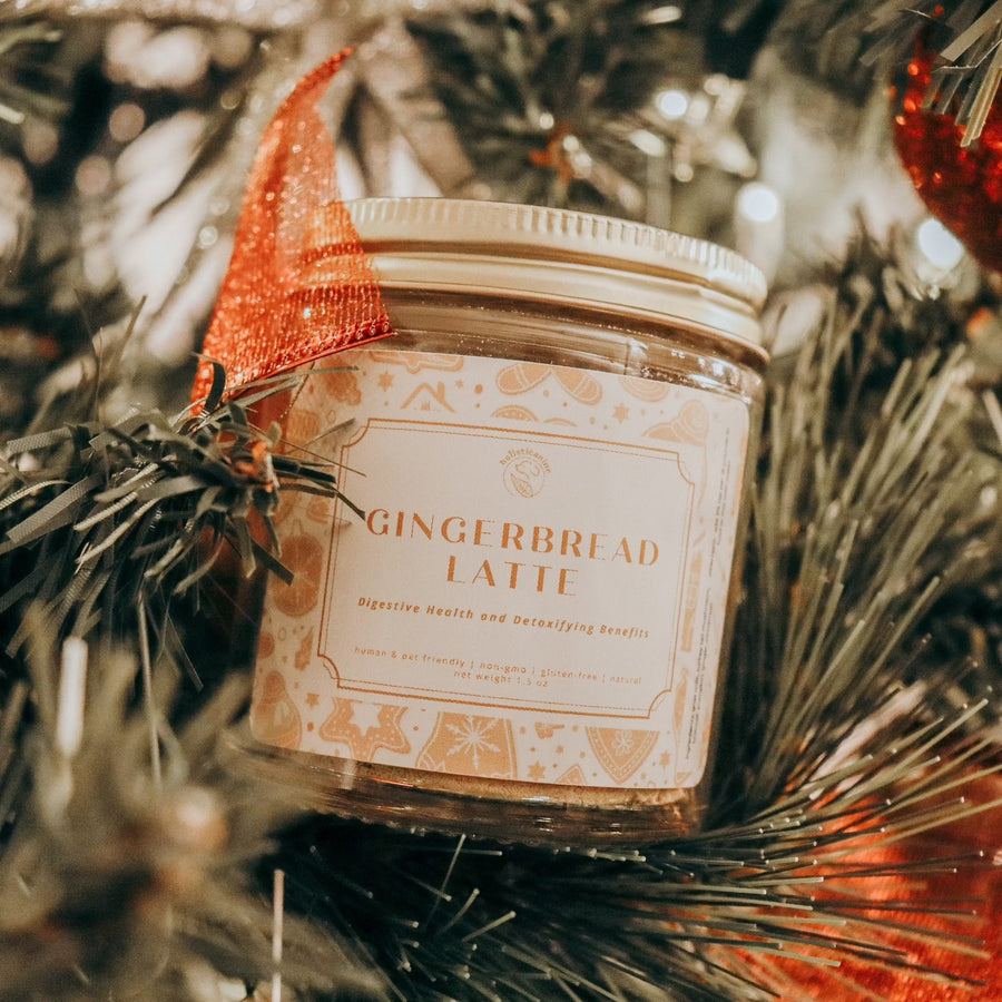 Gingerbread Latte | Digestive Heath and Detoxifying Supplement