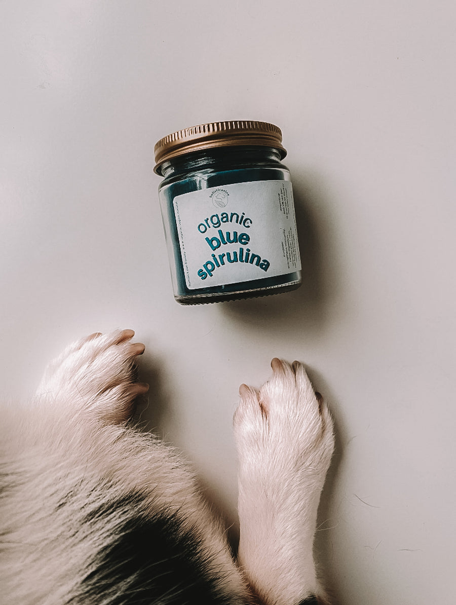What is Blue Spirulina? - Benefits, Uses & Where to Buy What is Blue Spirulina? - Benefits, Uses & Where to Buy
